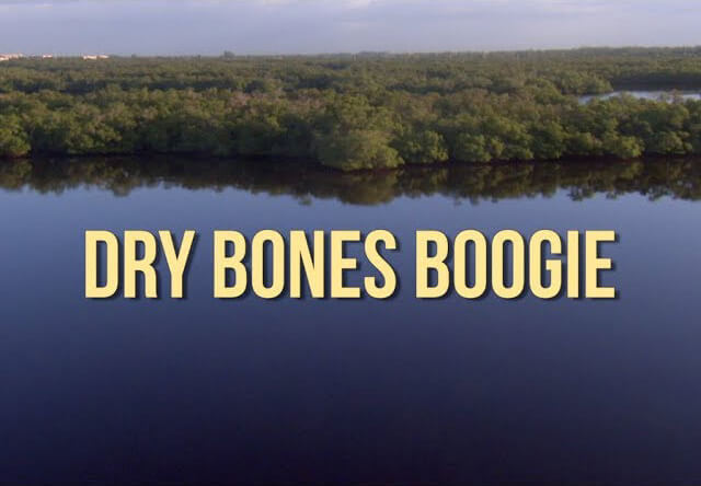 Dry Bones Boogie