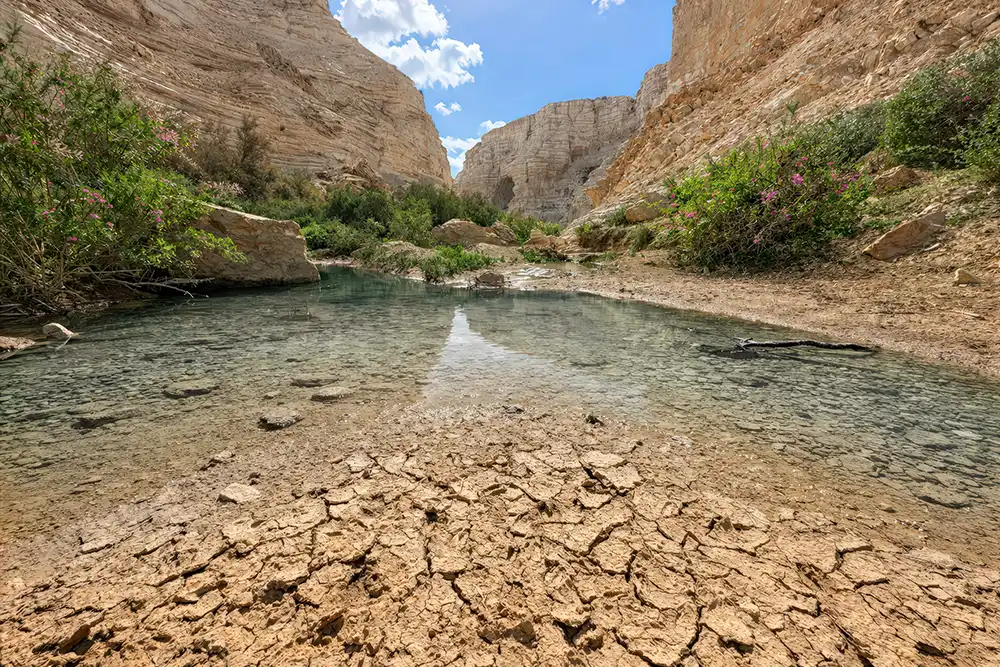 Season 3 Balanced Jewish Last Days Vision