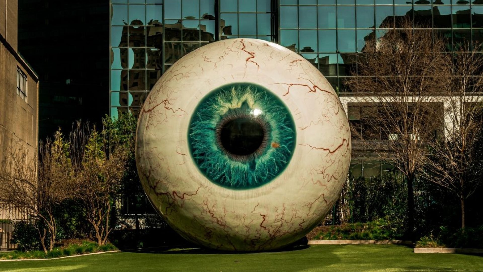 big-eye